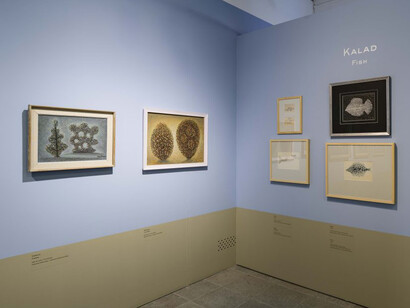 Sooster 100. View from private collections, exhibition view. Courtesy of Mikkel Museum