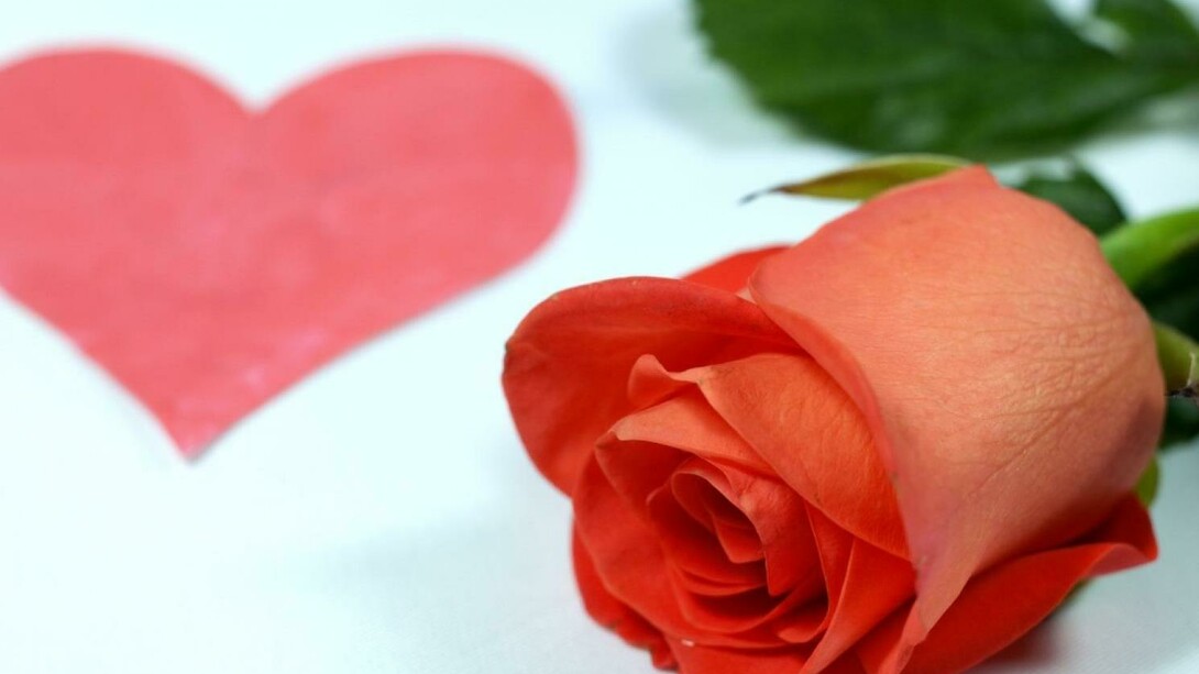 Una rosa y un corazón como regalos de San Valentín
