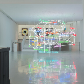 Warren Neidich, installation view. Courtesy of Priska Pasquer