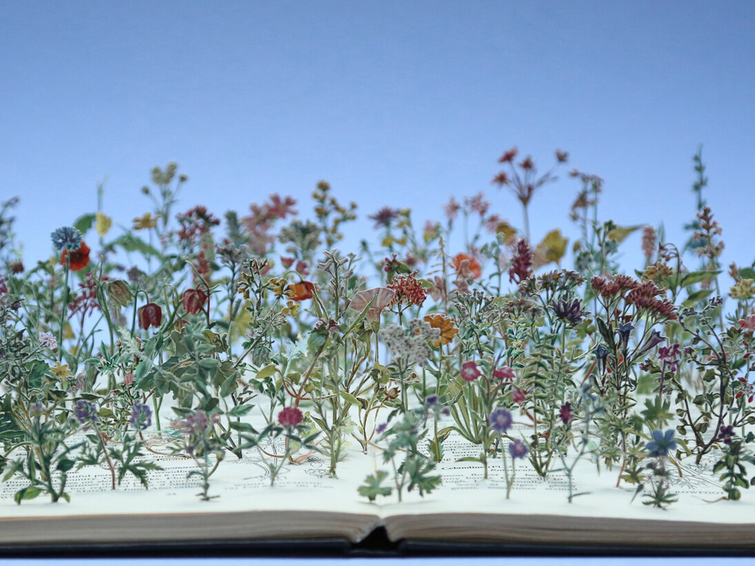 Su Blackwell, Wild Flowers, 340mm w x 260mm h x 240mm d, Paper, book, paper sculpture in glass and wood box
