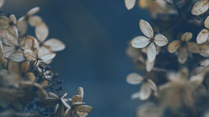 What I love about November