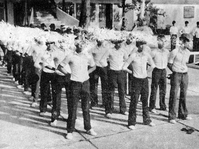 Nieves Mingueza, Serie The Malady of Suzanne Nieves