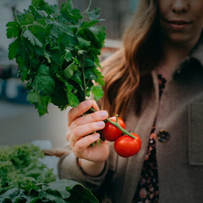 Compra de alimentos orgânicos. Toda a cadeia produtiva de um produto orgânico, seja ele alimento ou não, deve excluir o uso de insumos ou procedimentos, como fertilizantes minerais, pesticidas, medicamentos veterinários, manipulação genética dentre outros