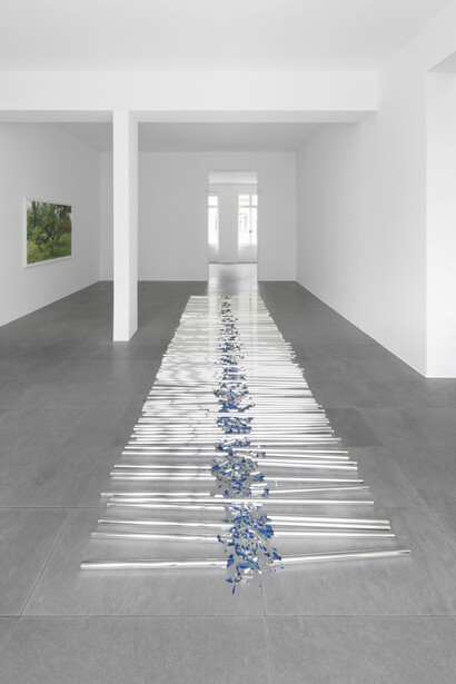 Installation view, Michel François, Xavier Hufkens, Brussels
Courtesy the Artist and Xavier Hufkens, Brussels