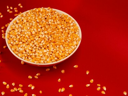 Detalhe de grãos de milho de pipoca. O pequeno ingrediente que, ao encontrar o calor, se transforma em um dos quitutes mais populares das Américas