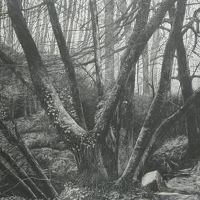 Kennall Vale, Cornwall Study I, Etching and aquatint, 39.2 x 60.6 cms (i)