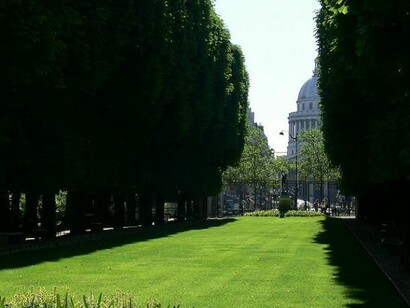 Allee der Bäume
