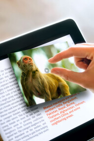 The future of media?