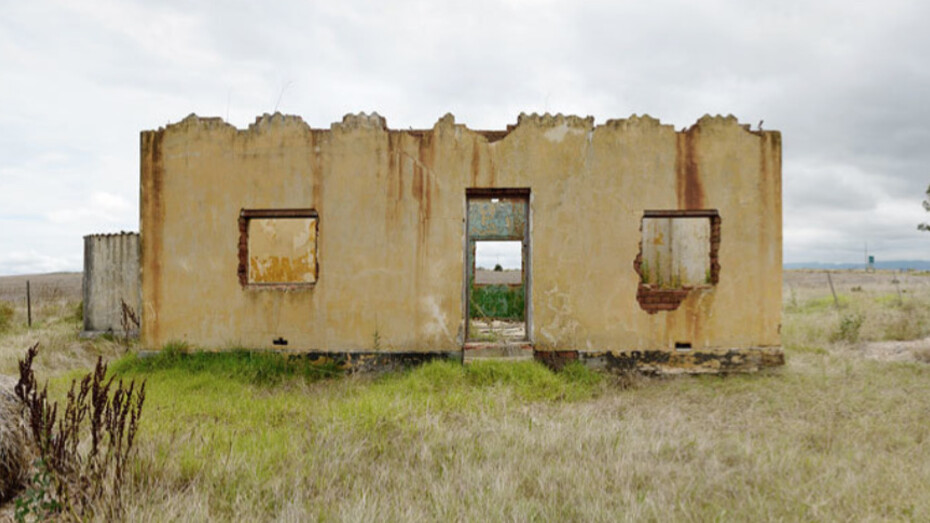 Dillon Marsh. Courtesy of Gallery MOMO