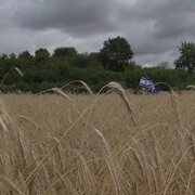 Polish hospitality. Courtesy of Wroclaw Contemporary Museum