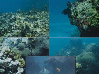 Peter Hutchinson, Marine chess games II (detail), 1986. Courtesy of Gaa Gallery 