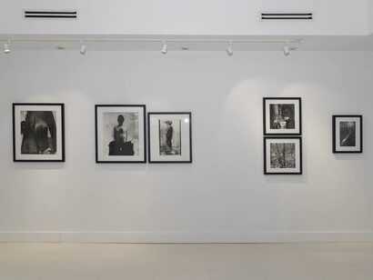 Juan Carlos Alom, Postales del abismo, exhibition view. Courtesy of Pan American Art Projects Gallery