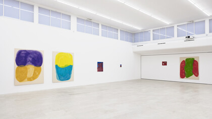 Installation view, foto di C. Favero