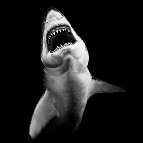 Robert Longo: Untitled (phantom vessel), 2008. Courtesy of Albertina Museum