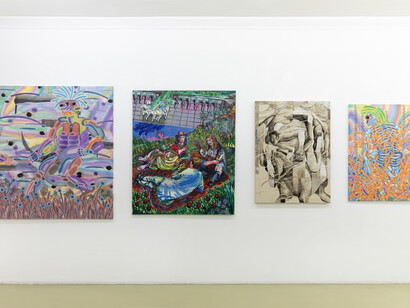 Various artists, Freaks, exhibition view. Courtesy of Galerie Krinzinger and the artist. Photo by Tamara Rametsteiner