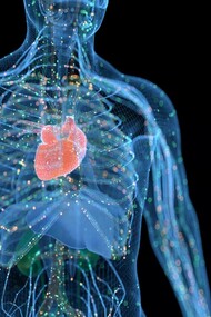 Vitamins boosting the immune system