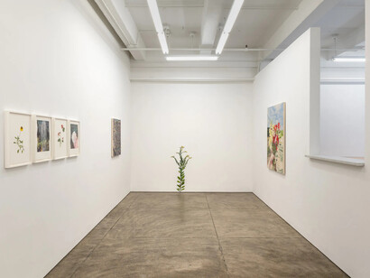 Carly Glovinski, Into the garden, exhibition view. Courtesy of Morgan Lehman Gallery
