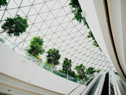 The interior with its lush plants and flowing water, showcases biophilic design in healthcare architecture, enhancing hospital environments with nature’s calming influence