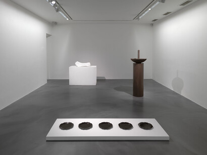 Elective Affinities, 2014, Simon Lee Gallery, Installation View
