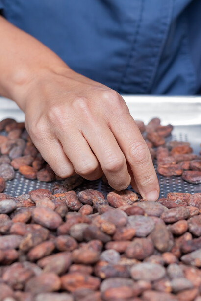 Azú Chocolates. Fredmerys Plaza convirtió el legado familiar del cacao en Delirio Chocolate, una marca que combina raíces, pasión y excelencia, llevando desde Margarita el sabor de Venezuela al mundo