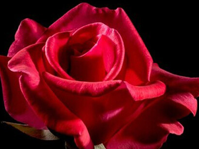 El perfume se recuerda