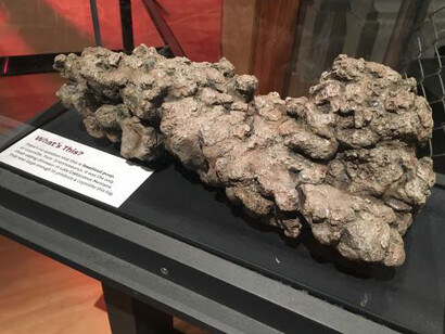 The Last American Dinosaurs. Courtesy of Smithsonian's National Museum of Natural History