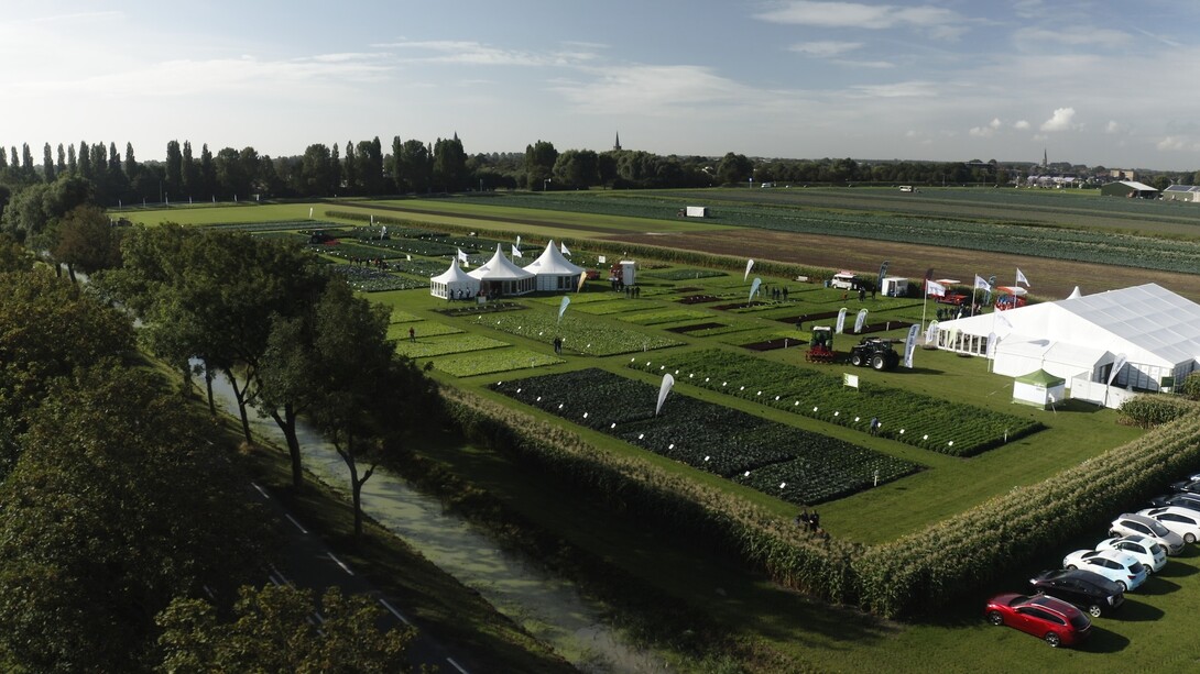 Il Centro d’Innovazione Tecnologica di Syngenta a Enkhuizen in Olanda