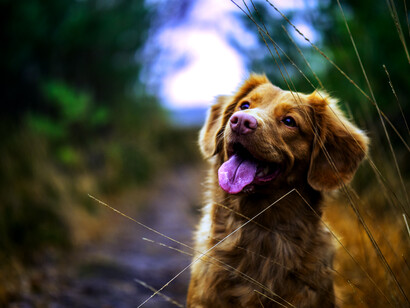 En ocasiones las emociones nos desbordan y necesitamos sanar aquello que las provocó