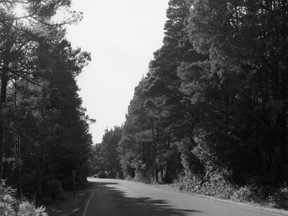 Robert Adams, Nehalem Spit, Oregon, 2013. © Robert Adams, courtesy Fraenkel Gallery, San Francisco