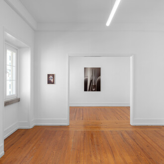 Alexandra Barth, In the country of last things, exhibition view. Courtesy of Document Gallery