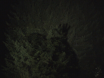 Pasi Autio, State of alert (video still, detail), 2025. Courtesy of Turku Art Museum
