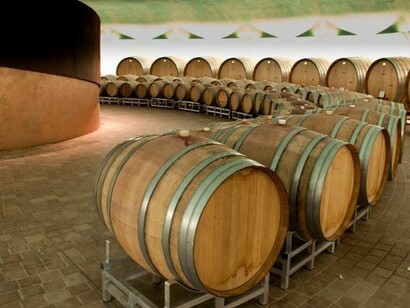 Le botti nella cattedrale del vino