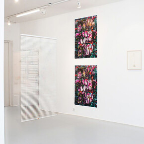 Wild Flowers. Courtesy of Galerie Iragui