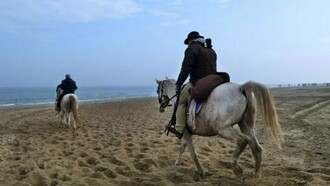 Cavalli sulla spiaggia. Foto: archivio comune Riccione.
