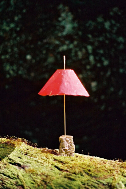 Installation View, Jake Coan, Species, 2023. Courtesy of the artist and Hostler Burrows Gallery