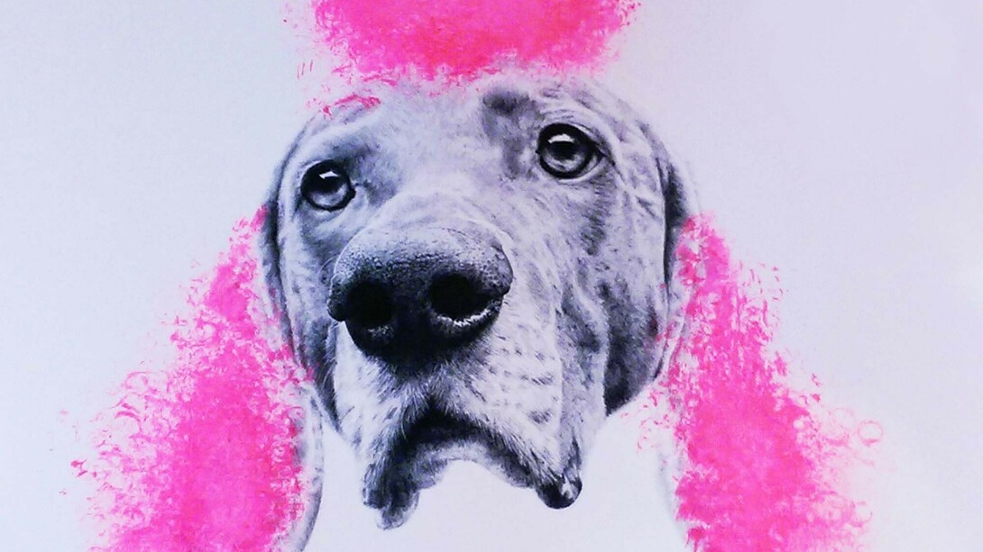 Robbins & Roberts, Pussypoodle