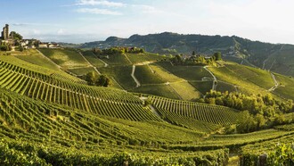 Serralunga d'Alba, Langhe, provincia di Cuneo, Piemonte, Italia