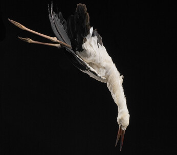 Still frame from Immer Noch der Lauf der Dinge 