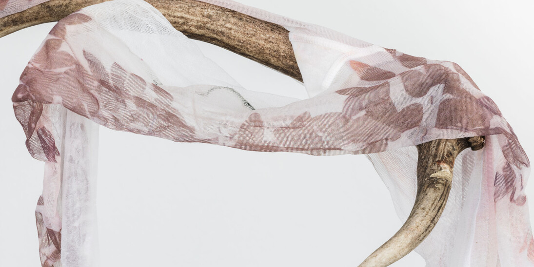 Luca Trevisani Il secco e l’umido, 2016 UV print on stockings, animal horn, plexiglas Photo: Delfino Sisto Legnani Courtesy the artist