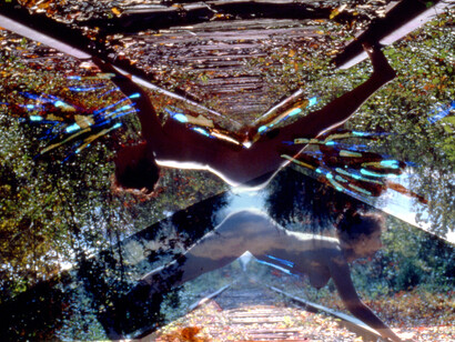 Carolee Schneemann. Courtesy of MoMA PS1