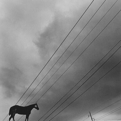 Graciela Iturbide, Caballito para Gerszo Lafayette (detail), Louisiana, 1997, Signed by the artist in ink on recto,
Silver Gelatin Print, 14 x 11 in., 35.6 x 27.9 cm. Courtesy of the artist and Ruiz-Healy Art