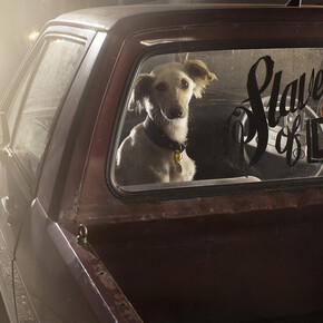 Martin Usborne, Prince, Martin Usborne, 2012, Archival C-type sur papier mat, 61 x 91,4 cm, Edition de 10