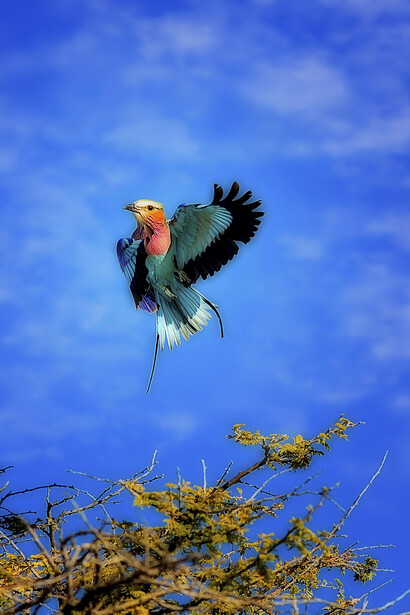 Namibia, foto Sergio Pessolano 