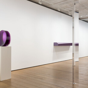 Plastic Show, Exhibition view .Courtesy of Almine Rech Gallery