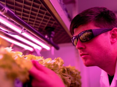 A food scientist working in a laboratory, studying sustainable and eco-friendly production methods