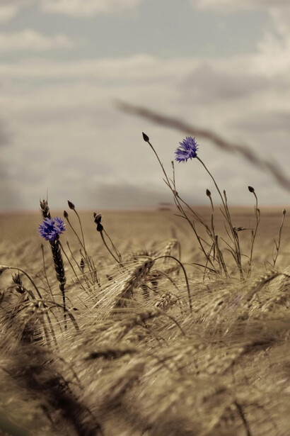 Aceptar lo vivido con honestidad, sin idealizar ni negar, es un acto de valentía cotidiana