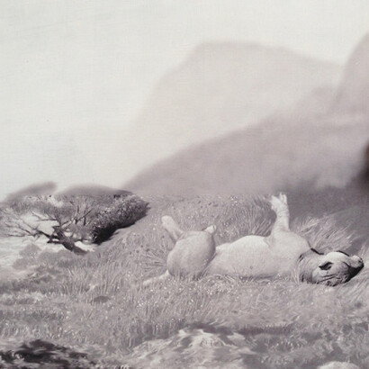 Kim Anno, Annotations / Antonius Bui, &mortar. Courtesy of Patricia Sweetow Gallery