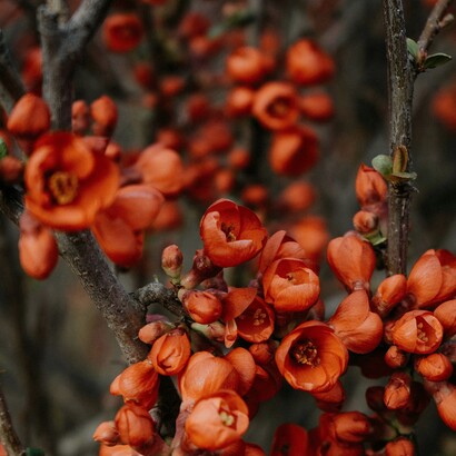 Coltivare non vuol dire controllare, ma ascoltare, accompagnare e prendersi cura con pazienza