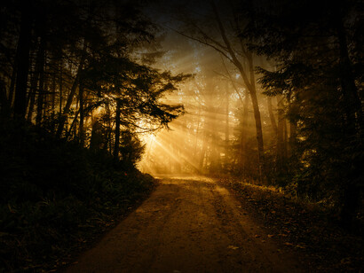 Encontrar el camino y evitar el extravío, es reconocer el síntoma de ser, precisamente, un ser capaz del extravío