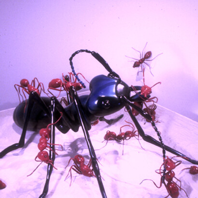 Hormigas, Joe Peragine